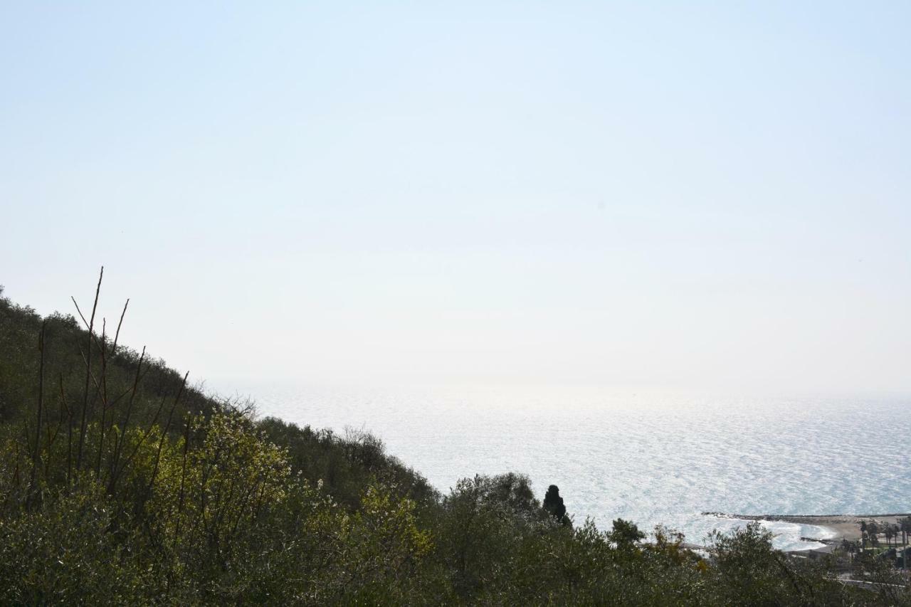 임페리아 La Torretta 빌라 외부 사진